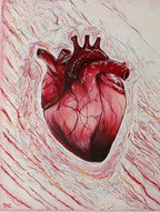 Corazón