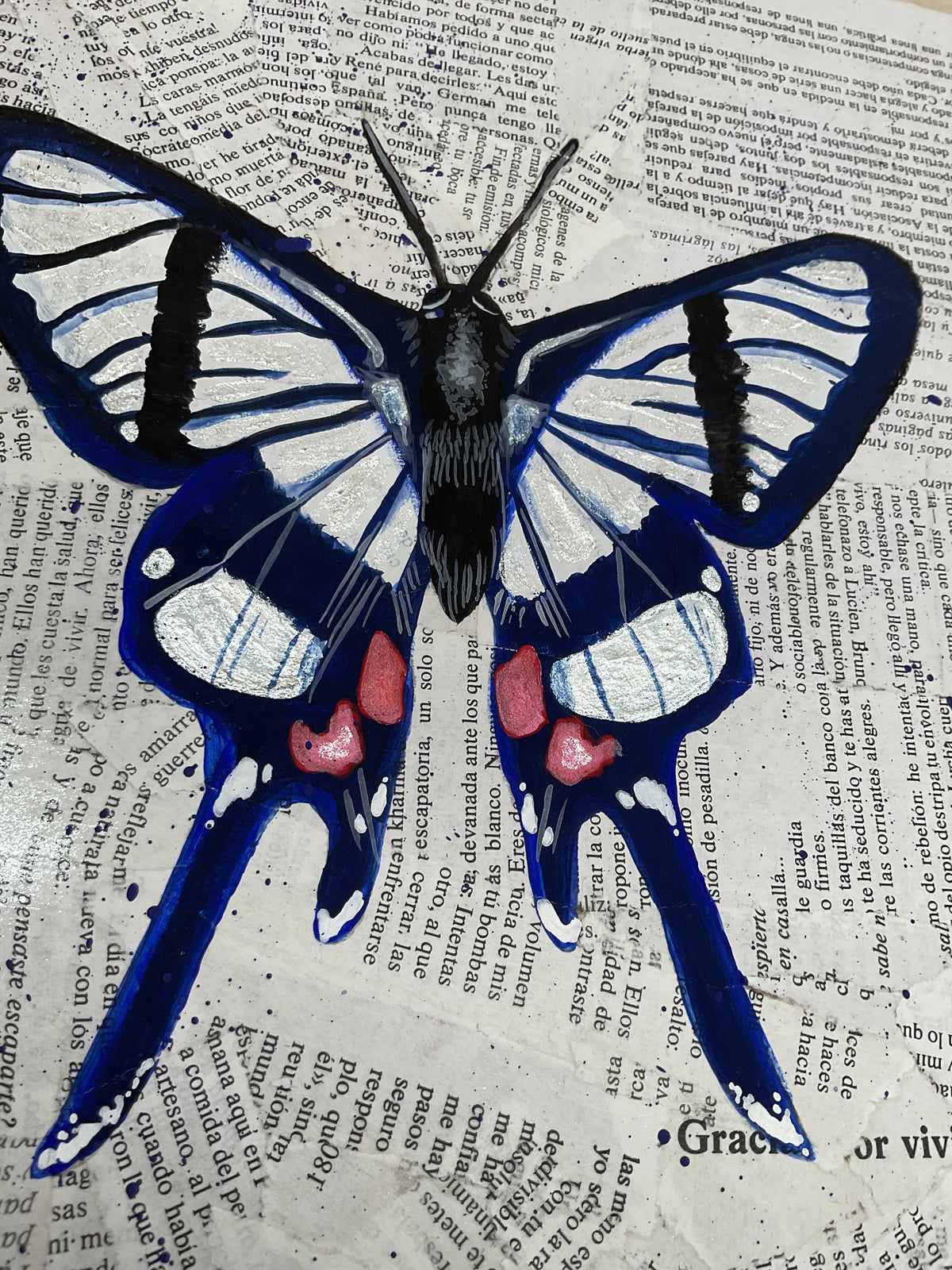 Chorinea sylphina