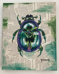 Beetle