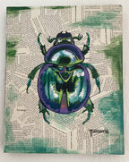 Beetle