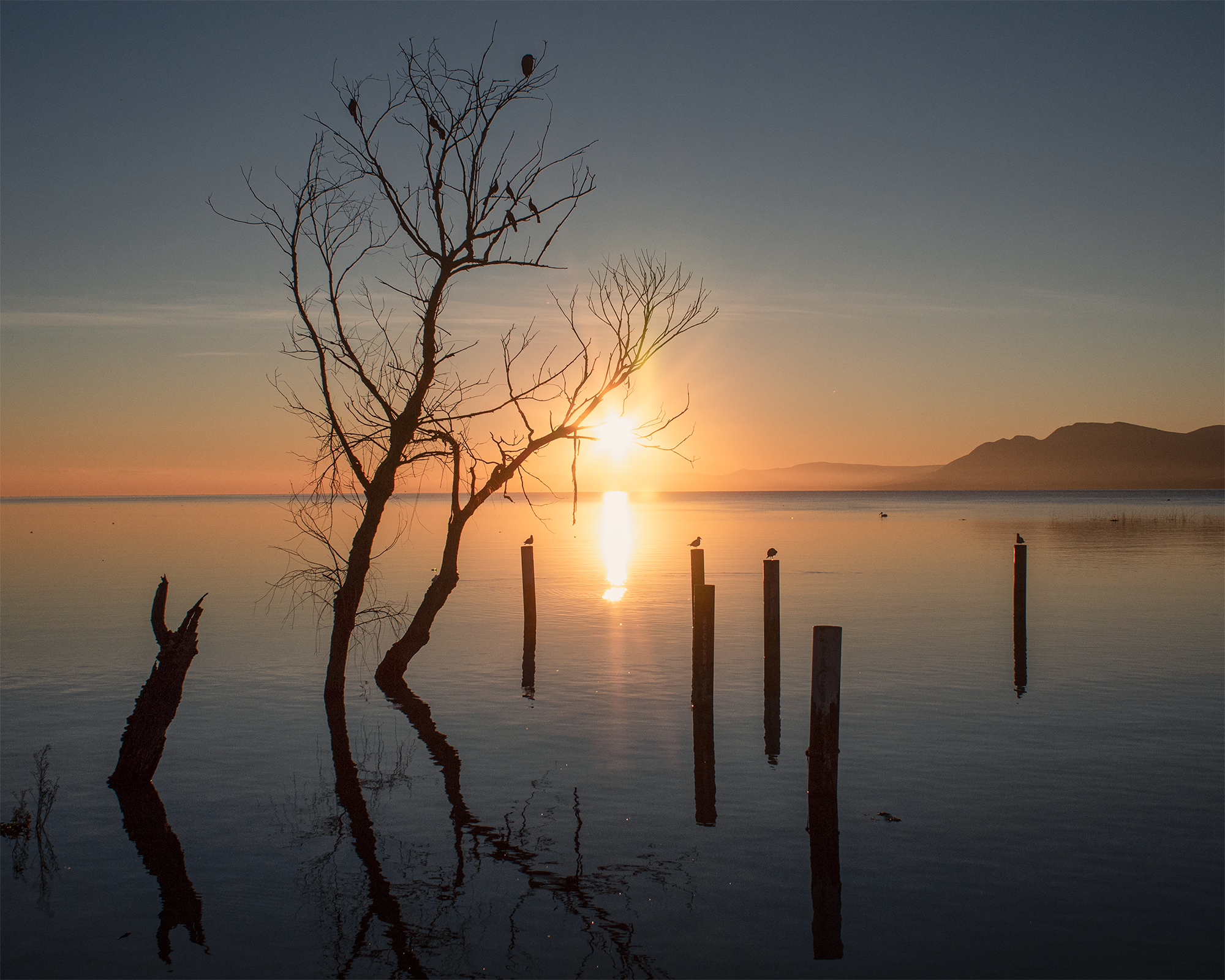 Lake Sunrise