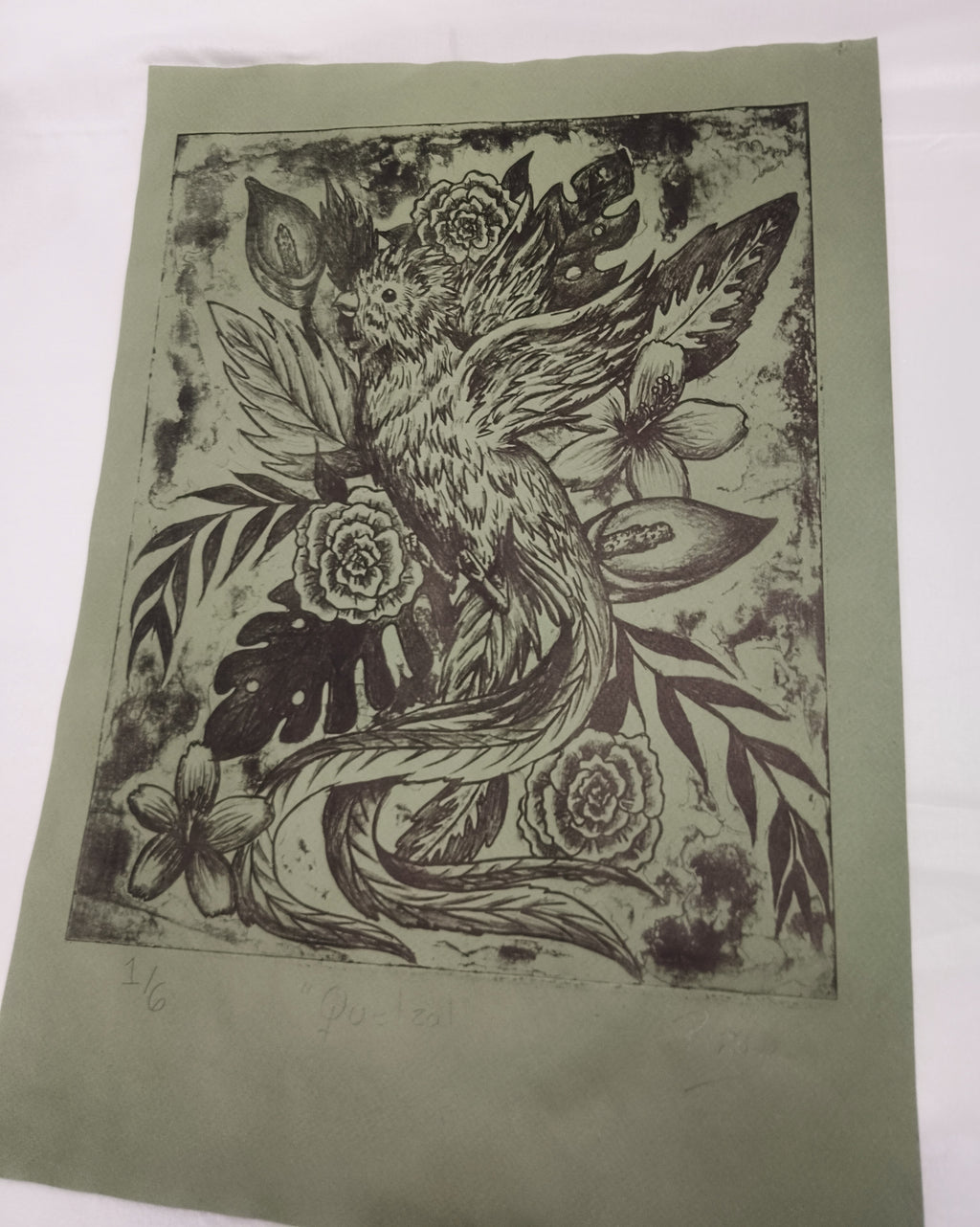 Quetzal