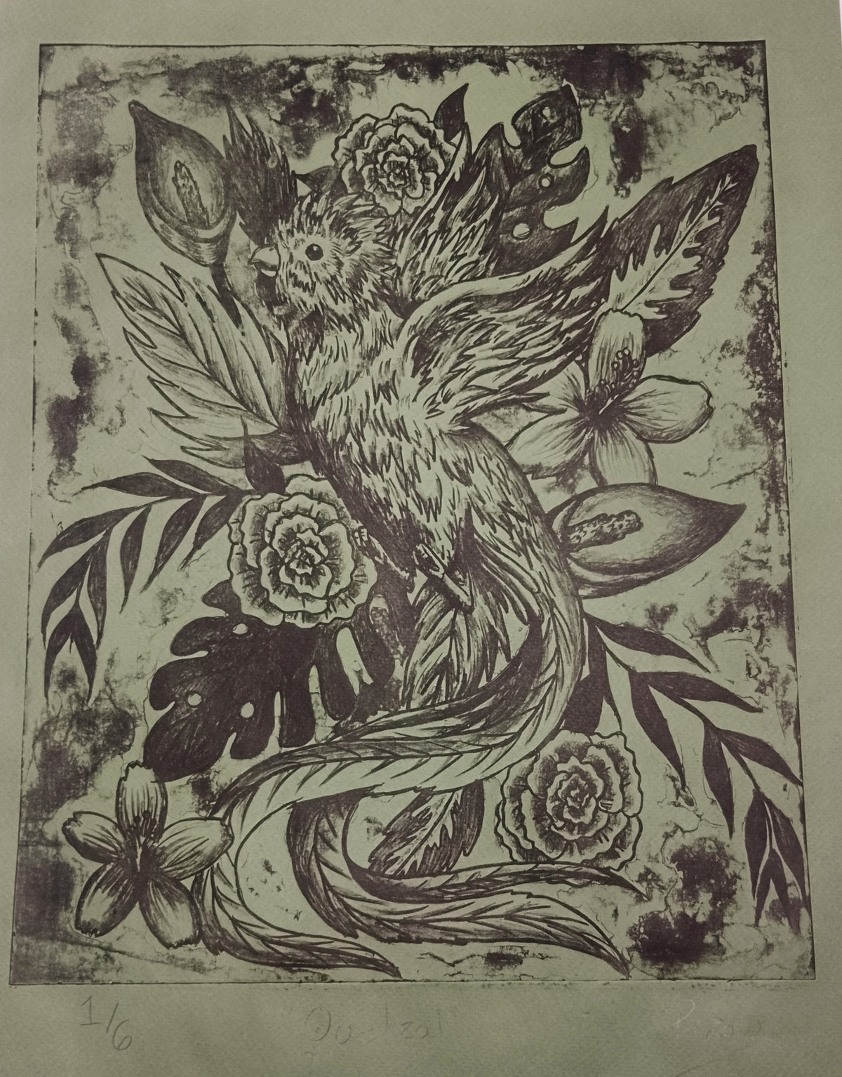 Quetzal