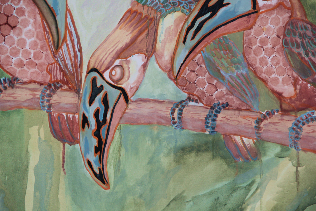 Tucanes