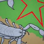 Centruroides noxius