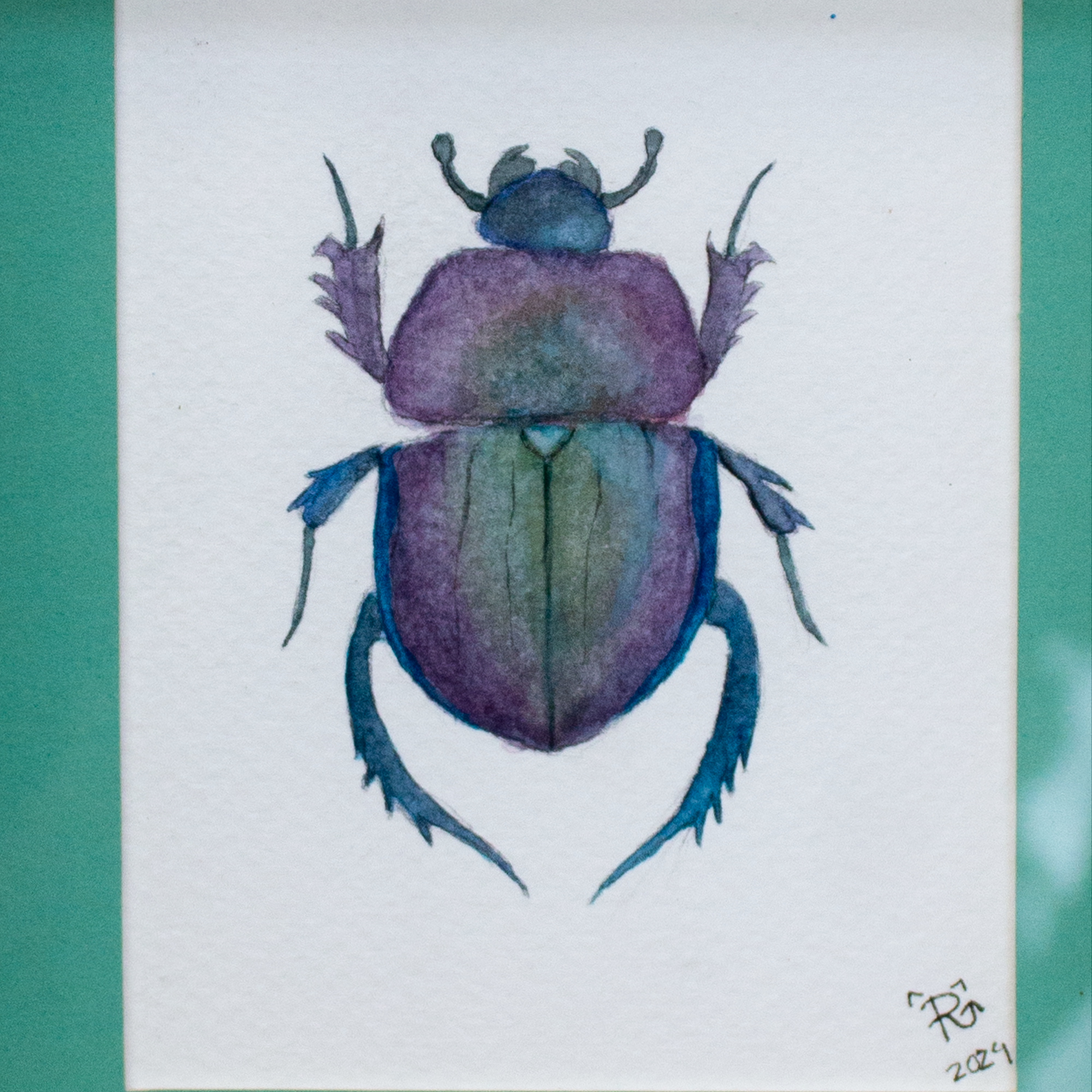 Beetle