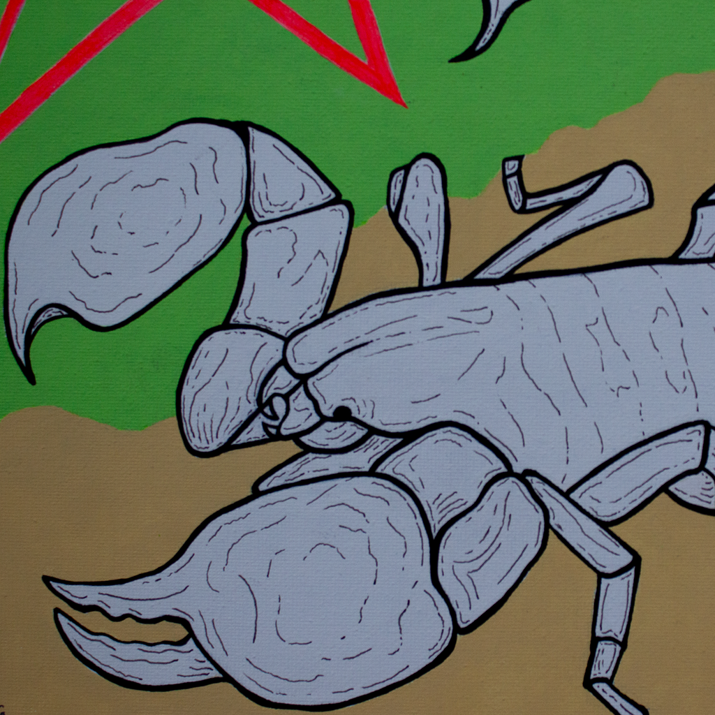 Emperor Scorpion
