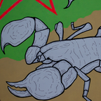 Emperor Scorpion