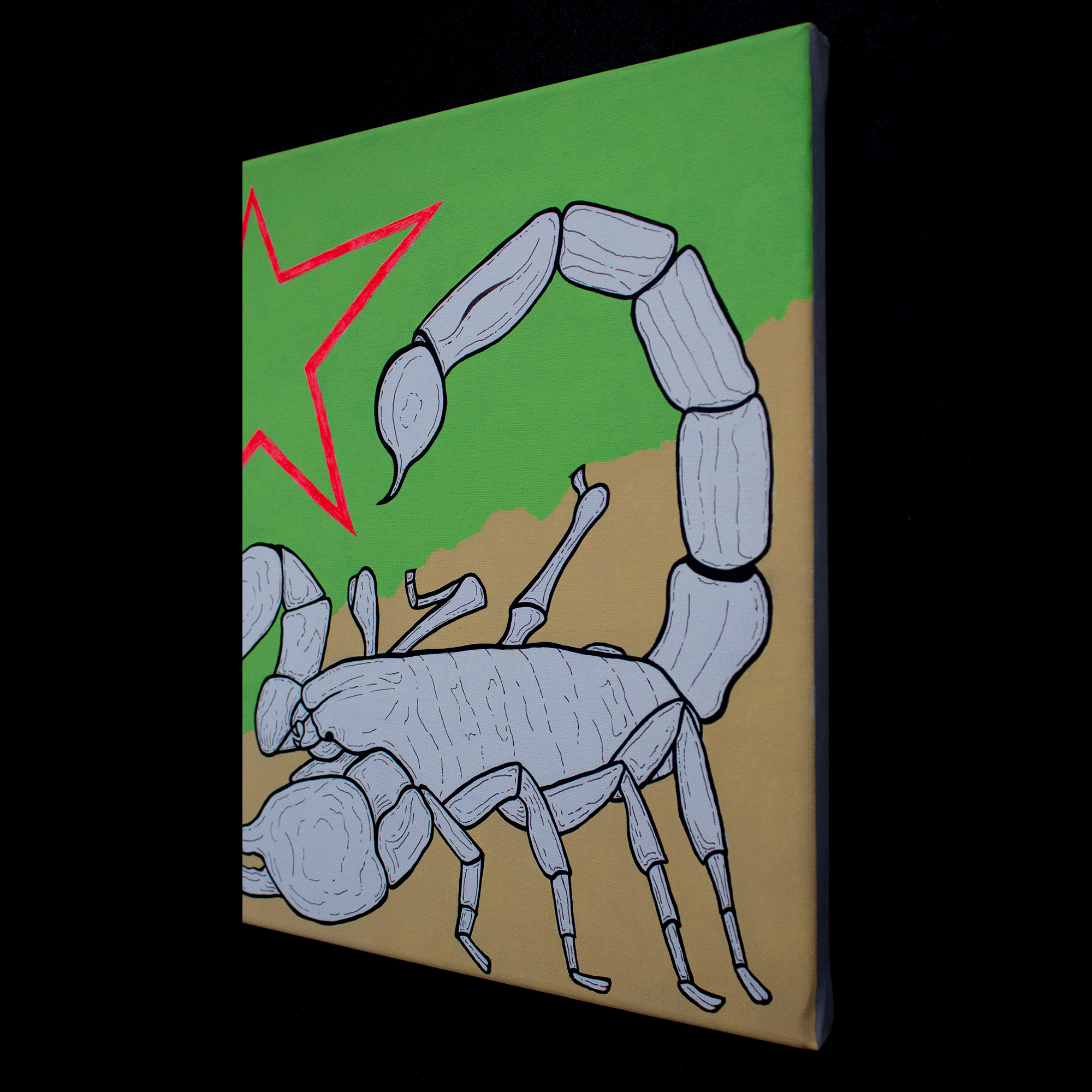 Emperor Scorpion